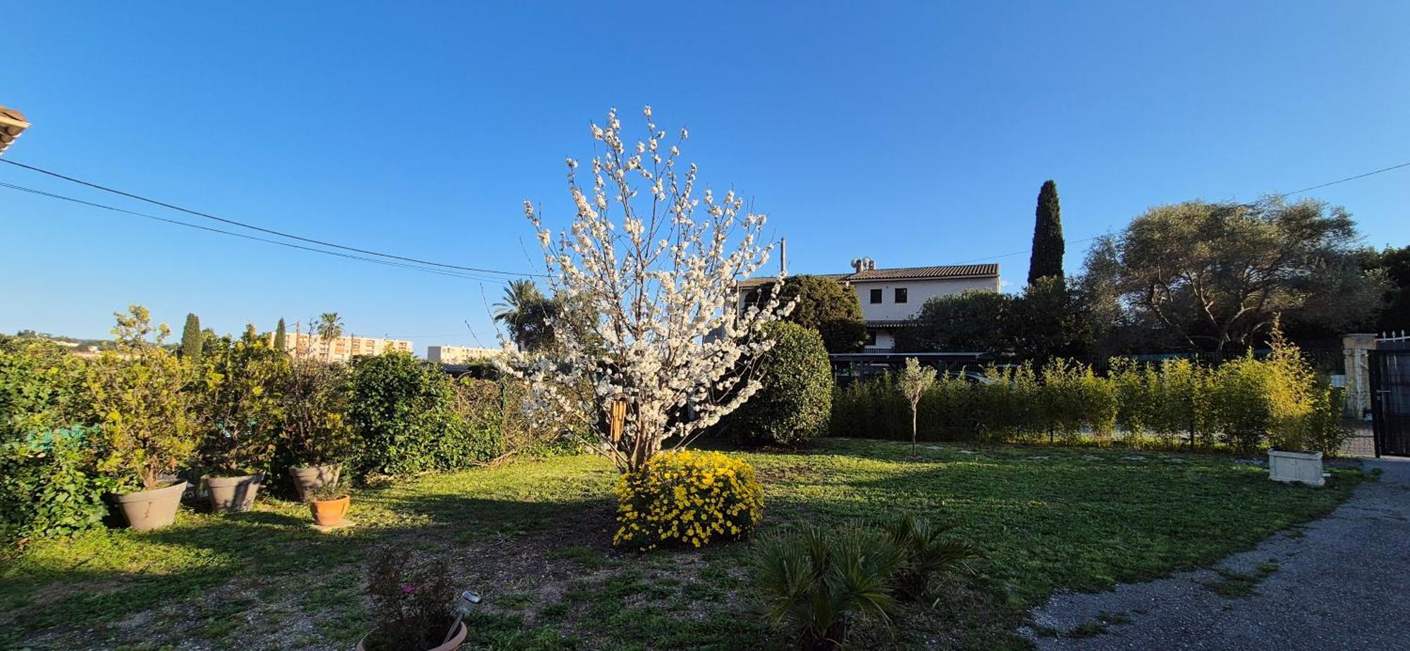 Studio Independant Avec Terrasse A Juan Les Pins Антиб Екстериор снимка